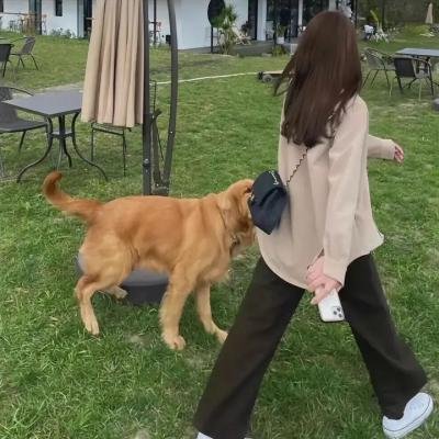 特别的她